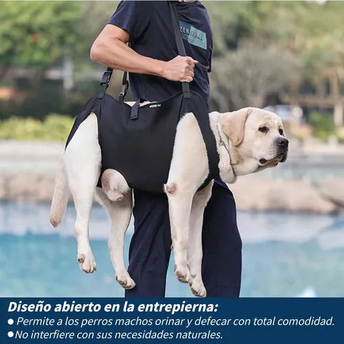 Andadera Para Perro - Rehabilitación Postoperatoria Talla Xl