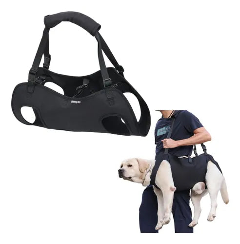 Andadera Para Perro - Rehabilitación Postoperatoria Talla Xl