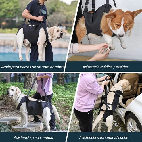 Andadera Para Perro - Rehabilitación Postoperatoria Talla Xl